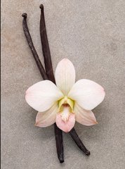 European Musk & Vanilla